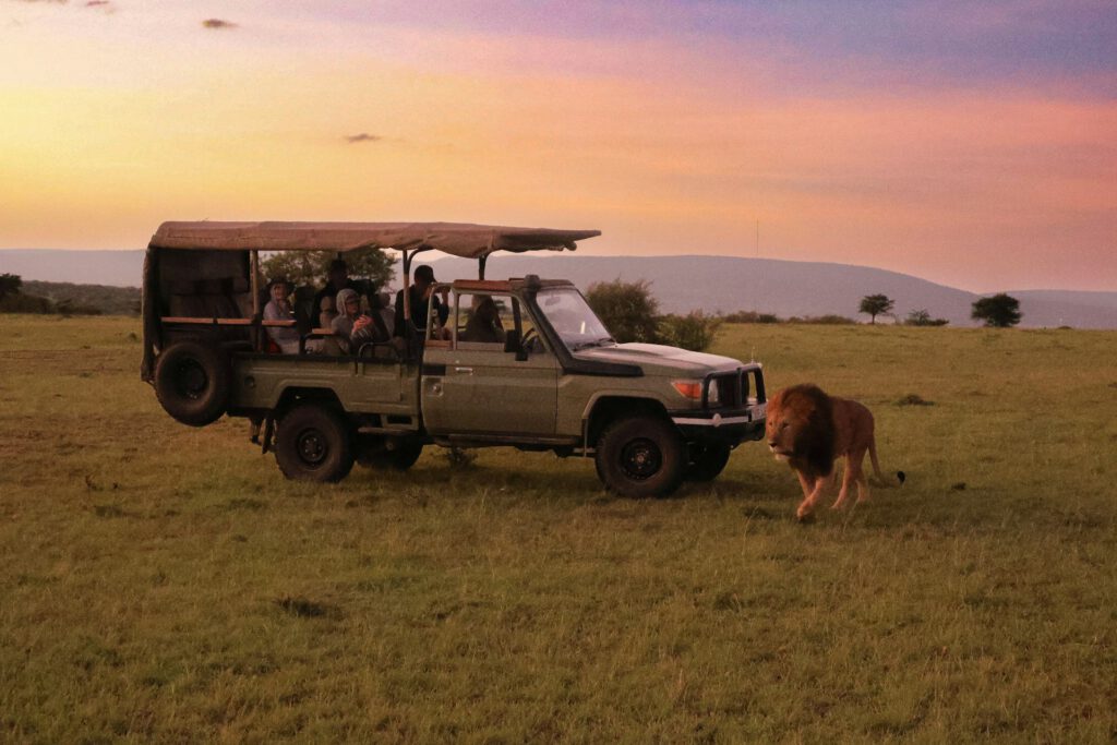 Kenya Wildlife beach Safari