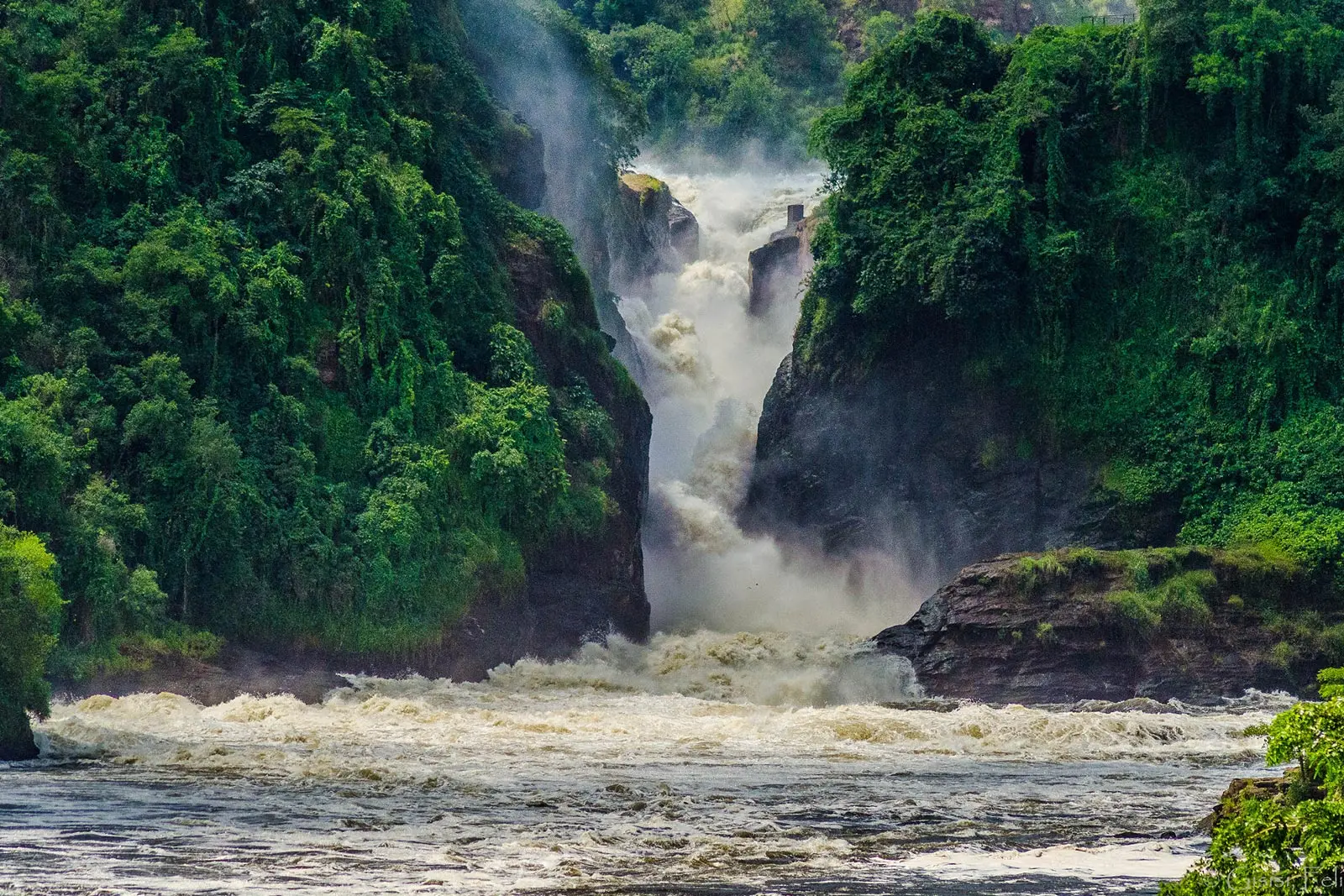 6 Days Gorilla Trekking Uganda