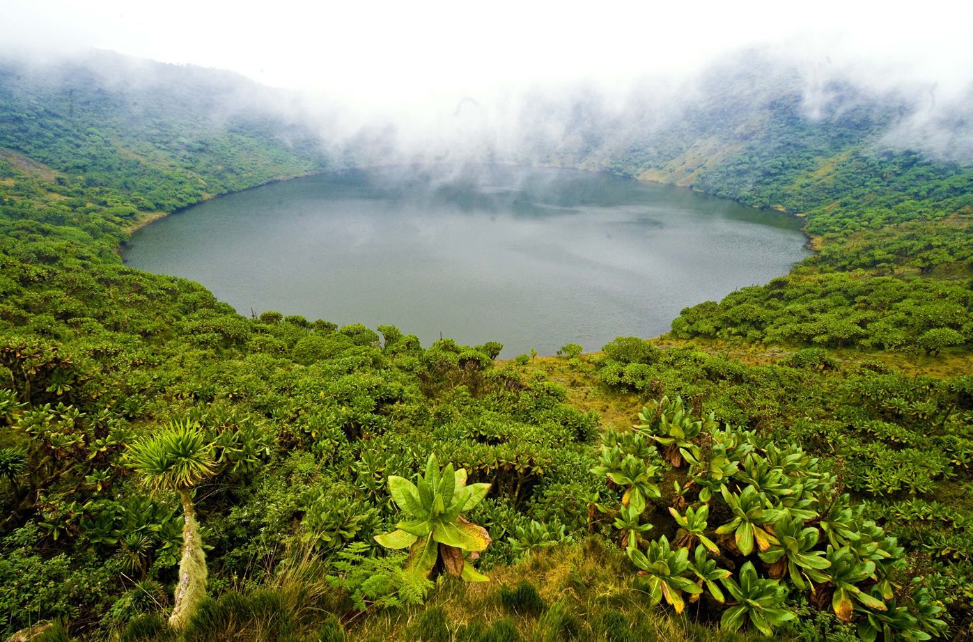 Double Gorilla Trek Rwanda Uganda